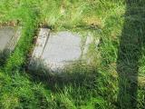 image of grave number 393785